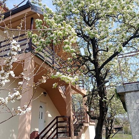 Apartmani Ostojic Vrdnik Exterior photo