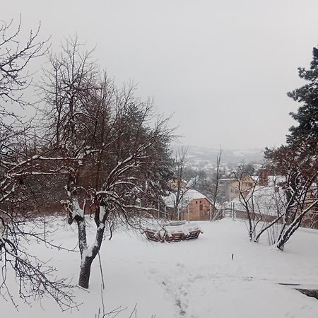 Apartmani Ostojic Vrdnik Exterior photo