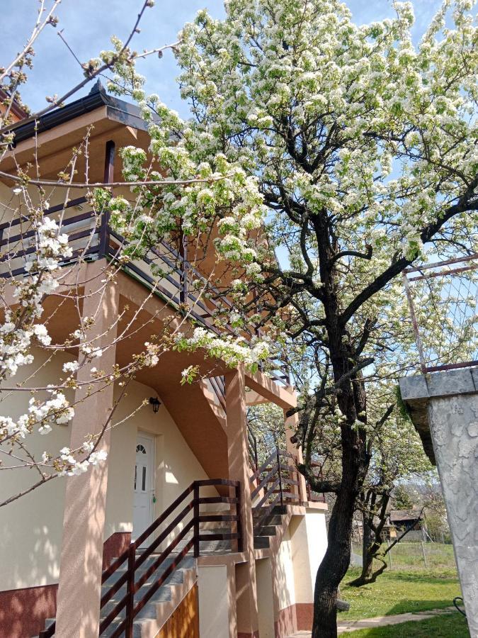 Apartmani Ostojic Vrdnik Exterior photo